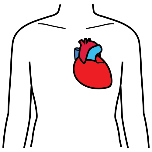 Fig.3.18. Corazón. Sergio Palao. ARASAAC. Licencia CC BY-NC-SA