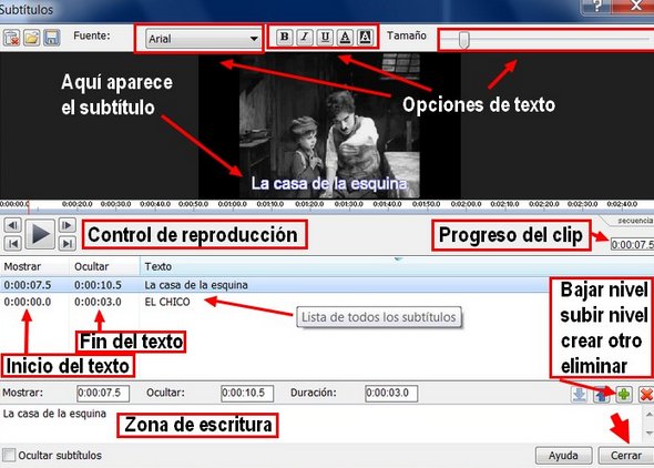 Area para subtitular en Video Pad